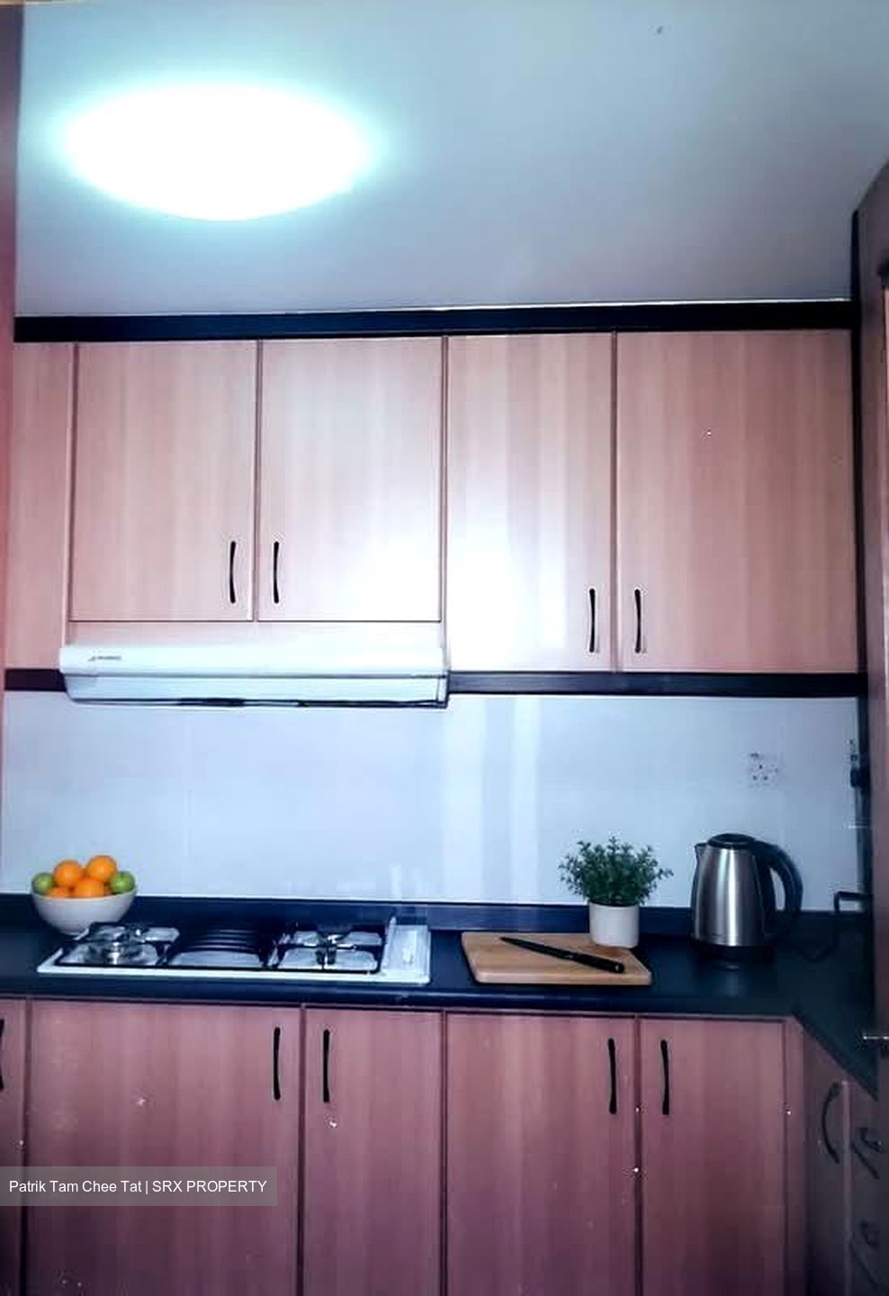 Palm Gardens (D23), Condominium #573172471